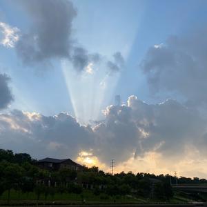 与光同尘头像