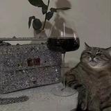 天侗头像