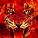 用户9314285080411头像