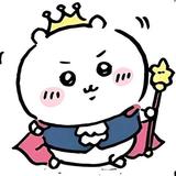 坚果57037头像