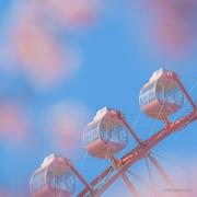 Livio的个人资料头像