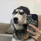 文明点点到即止头像