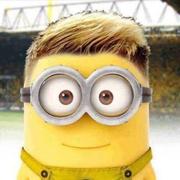 不熬夜的熊猫的个人资料头像