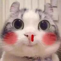 骑驹东去头像