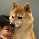 哼哼哈嘿😂头像