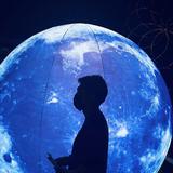 夕阳5291E头像