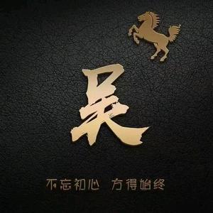 山东吴大帅头像