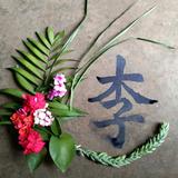 多彩原野uFe头像