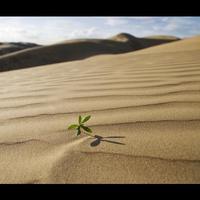 ๓一念起℡头像