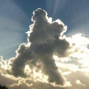 石头_john的个人资料头像