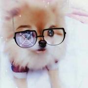 小丑鱼207的个人资料头像