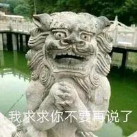 博卡头像