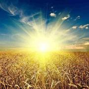 玉树临风811的个人资料头像