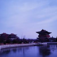 稻田守望者23头像