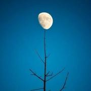 穆如辰的个人资料头像