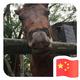 小卜770头像
