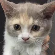 破晓起飞的个人资料头像