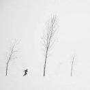 JZ浩的个人资料头像