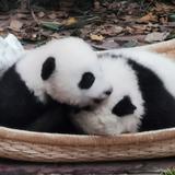 我就不关头像