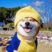 jellygc的个人资料头像