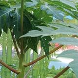 唯一42112头像