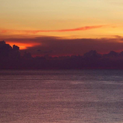 枫叶溜华的个人资料头像