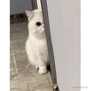 一个不知名程序员yz的个人资料头像