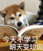 屠一乐的个人资料头像