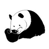 武殿朝头像