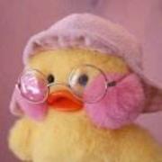 教书匠z的个人资料头像