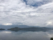 猿狼的个人资料头像