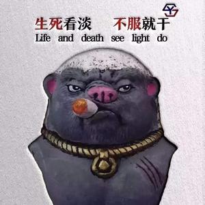 爱家阿尔瓦2w头像