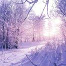 啊亮的个人资料头像