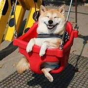 乐善的个人资料头像