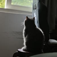 别急我先躺会头像