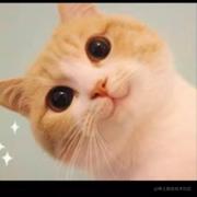 北方的人的个人资料头像