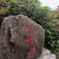 用户7944879662703头像