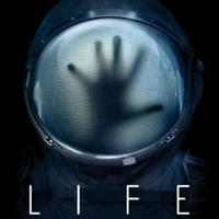 用户4058950137329头像