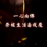 陌辞头像