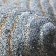 张开原的个人资料头像