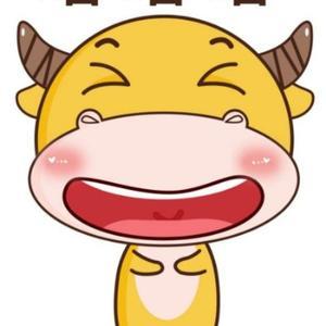 侯哥爱car头像