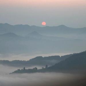平行的-Scene头像