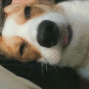 可可爱喝可乐头像