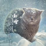 用户4400253613266头像