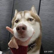 peretiner的个人资料头像