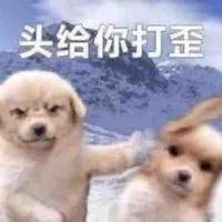 Safarise头像