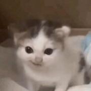 YunShen的个人资料头像