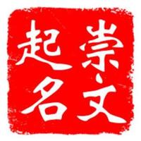 崇文起名头像