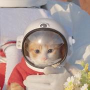 国家一级退堂鼓选手的个人资料头像