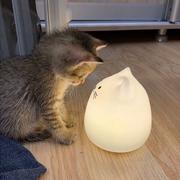 hanara零号机的个人资料头像